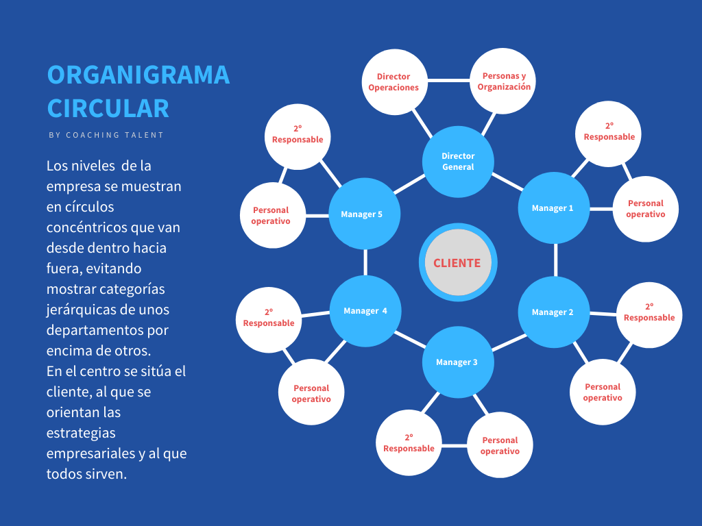 Organigrama Circular Coaching Talent